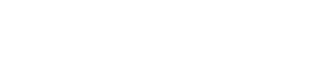Formula 1